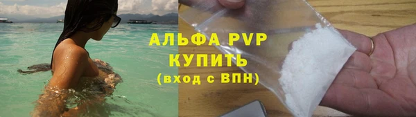 амф Бородино