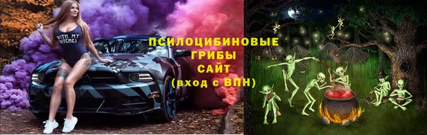 прущая мука Богородск