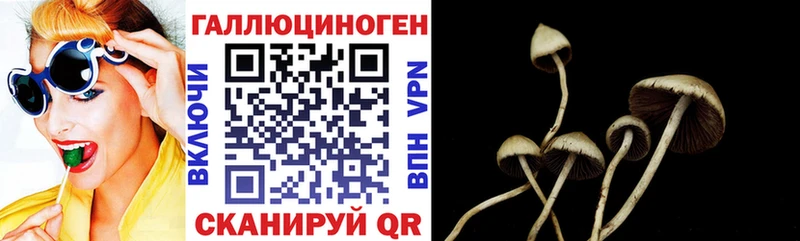 Псилоцибиновые грибы Magic Shrooms Кирово-Чепецк