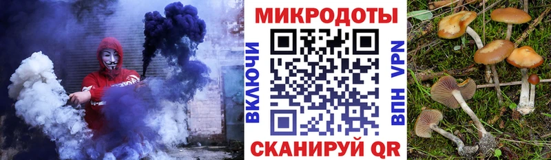 мега   Кирово-Чепецк  Псилоцибиновые грибы Magic Shrooms 
